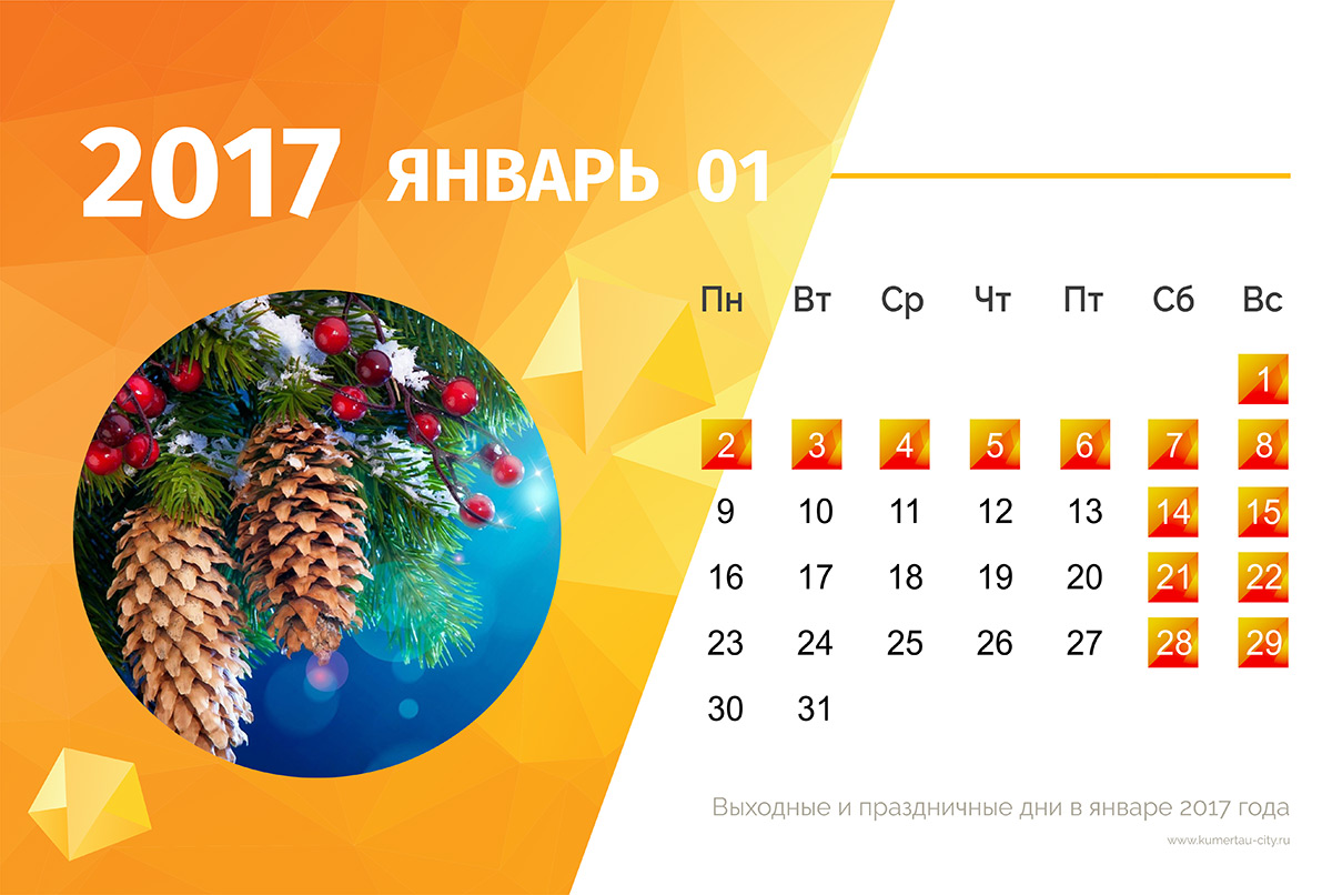 Февраль 2017 года